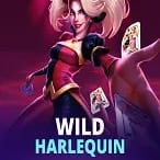 Wild Harlequin